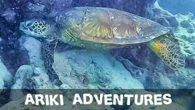 Rarotonga Top Things To Do With Family Ariki Adventure