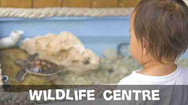 Rarotonga Top Things To Do With Family Wildlife Centre