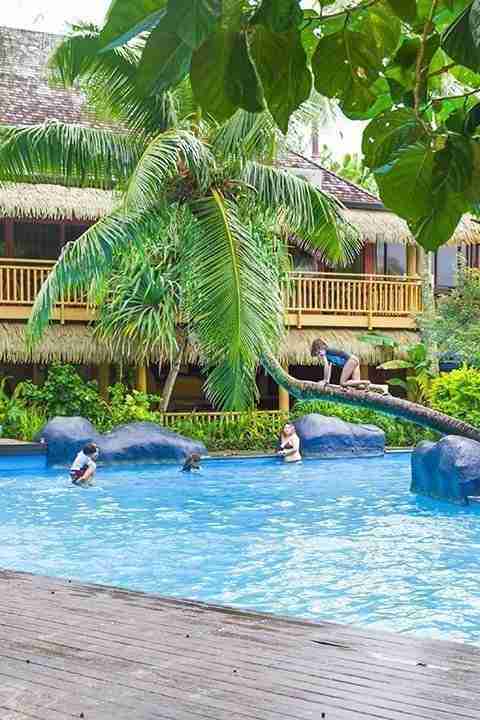 Rarotongan Beach Resort Pool with cool looking palm tree in the middle