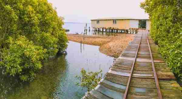 wooden bridge over the water to Drakes Endeavour Oyster Farm shed
