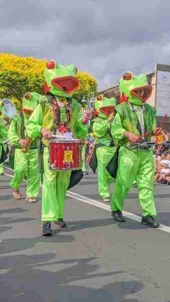 Browns Bay Christmas Parade Auckland New Zealand Family Celebration drums orchestra dressed up in frog costumes