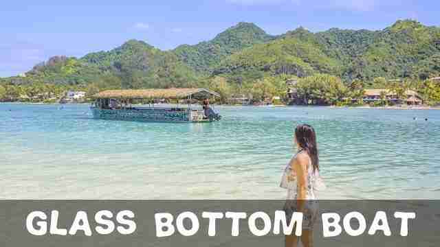 Rarotonga Top Things To Do with Family Glass Bottom Boat Tour