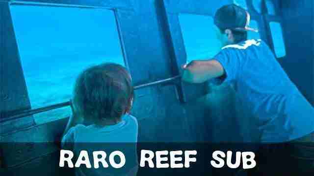Rarotonga Top Things To Do With Family Raro Reef Sub