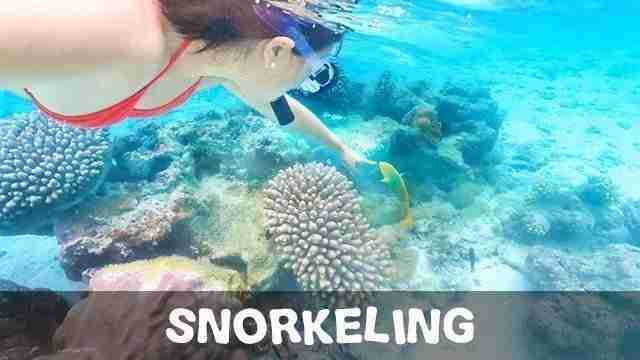 Rarotonga Top Things To Do With Family Snorkeling