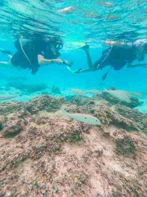 Rarotongan Beach Resort Best snorkeling spot people filming underwater with gopro