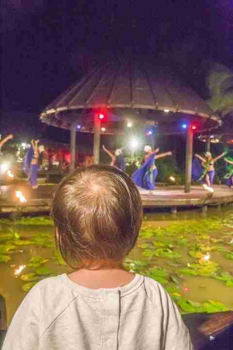 Toddler watching Te Vara Nui Village show on best behavior